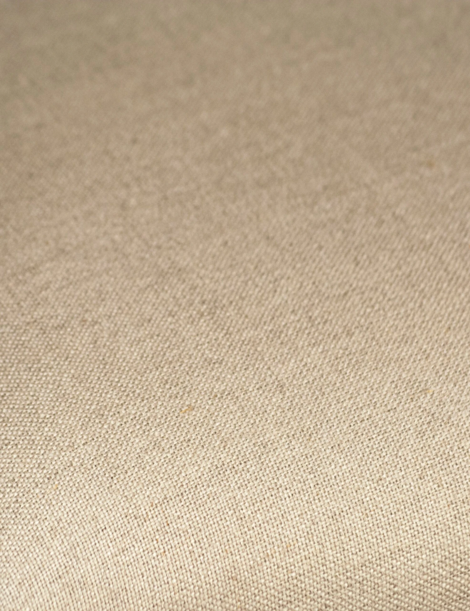 Cassidy Dining Chair