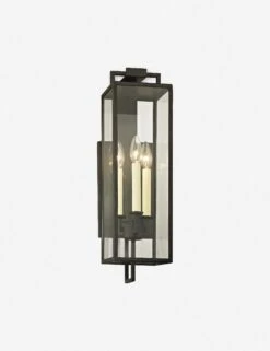 Judy Indoor/Outdoor Sconce