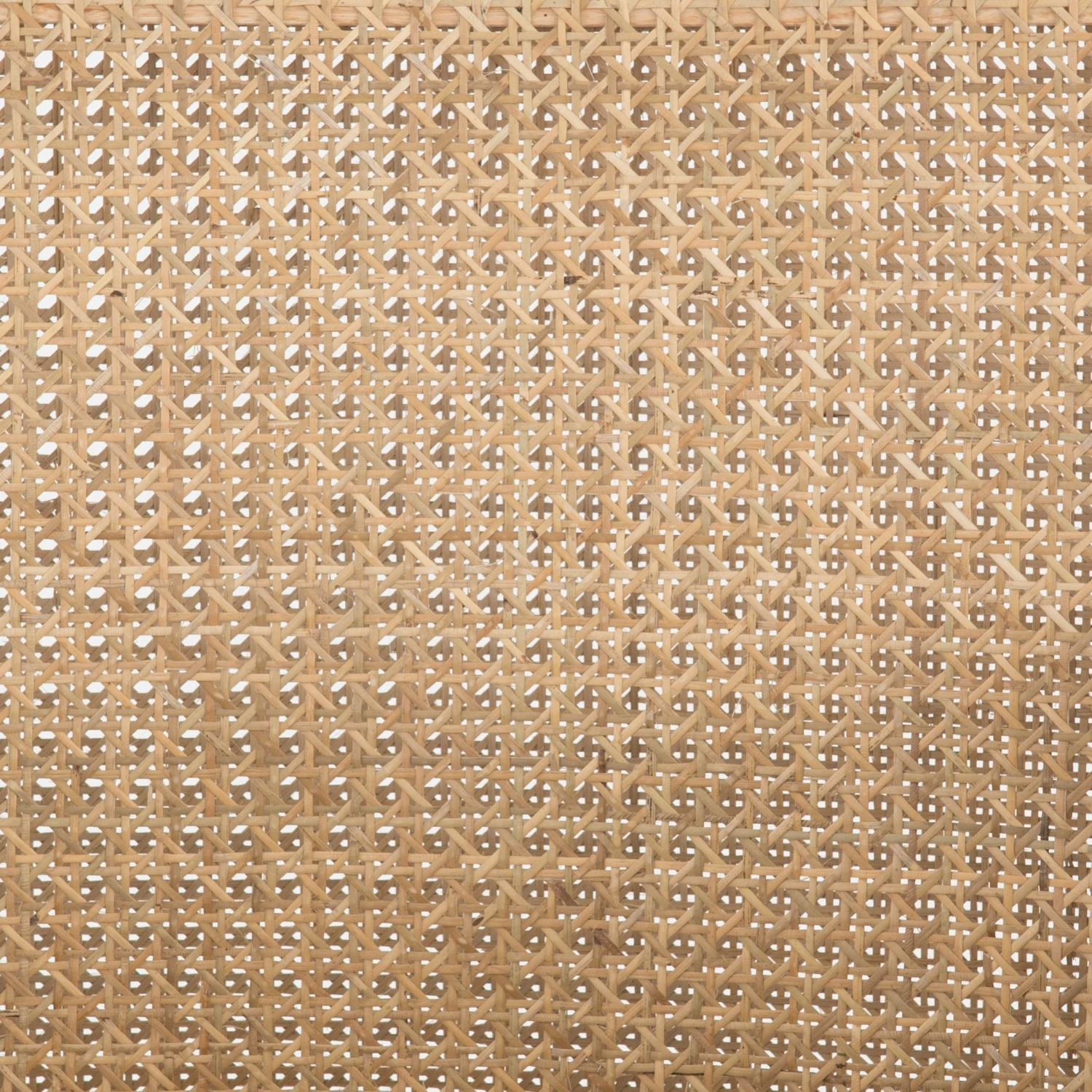 Jeni Dining Arm Chair