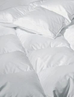 Sweet Dreams Winter Down Duvet Insert